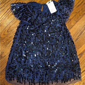 H&M Midnight Blue Sequin Dress